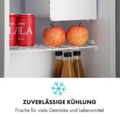 Snoopy Eco Mini-Kühlschrank Mit Gefrierfach 41 Liter 39dB -Haushaltsgeräte Store 10032855 de 0005 logo