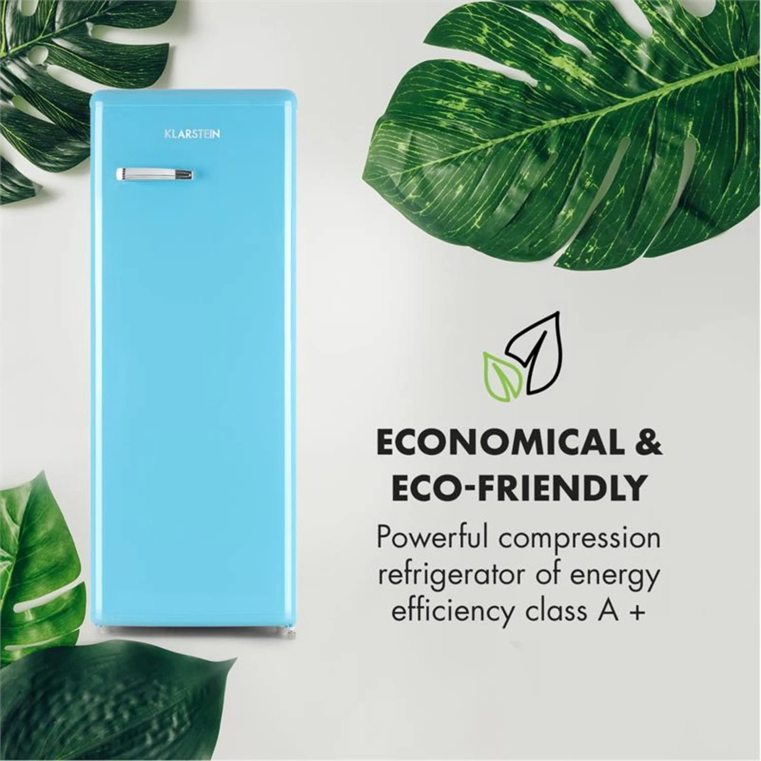 Irene XL Vollraumkühlschrank 240 Liter Retro-Design 5 Irene XL Vollraumkühlschrank 240 Liter Retro-Design – Bild 3