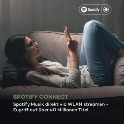 ITuner 320 BT Digitaler HiFi-Tuner Spotify Connect BT App-Control -Haushaltsgeräte Store 10034063 de 0004 logo