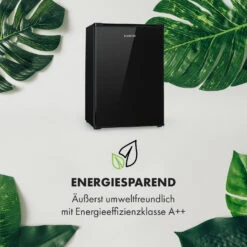 Delaware Kühlschrank 75 Liter 4-Liter-Gefrierfach Kompression -Haushaltsgeräte Store 10034554 de 0003 logo