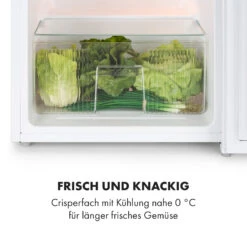 Big Daddy Cool Kühl-Gefrier-Kombination 87 Liter 40dB EEK F 17 Big Daddy Cool Kühl-Gefrier-Kombination 87 Liter 40dB EEK F -Haushaltsgeräte Store 10035585 de 0006 logo