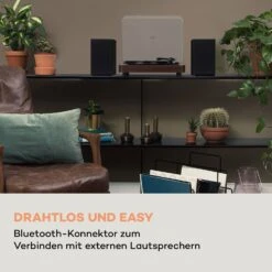 TT-Classic Light Plattenspieler Staubschutz Bluetooth 33/45/78 U/min -Haushaltsgeräte Store 10038898 de 0003 logo